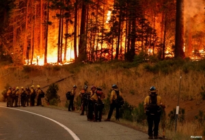 Firefighters work to control the Park Fire along Highway 32, near Jonesville, California, U.S., July 28, 2024. REUTERS/Fred Greaves